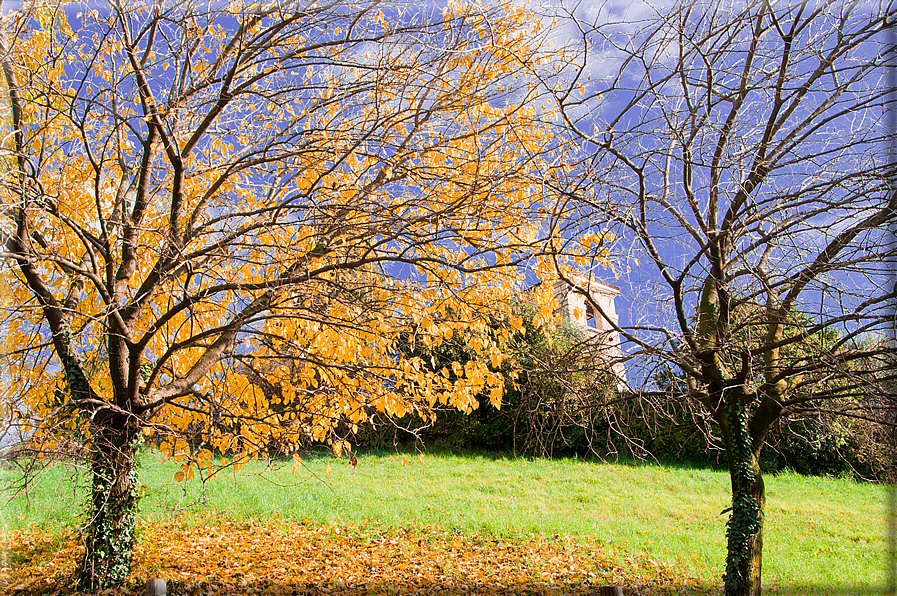 foto Colline Marosticane in Autunno